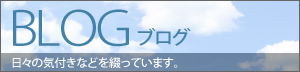 ブログ